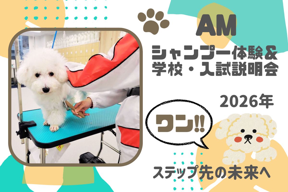 ☆全学年対象☆子犬のシャンプー体験【午前】／横浜動物専門学校