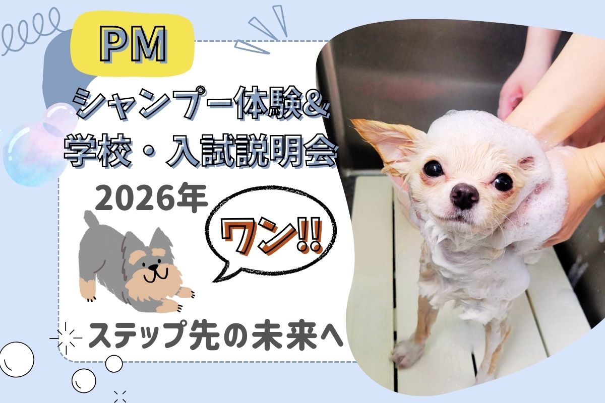 ☆全学年対象☆子犬のシャンプー体験【午後】／横浜動物専門学校