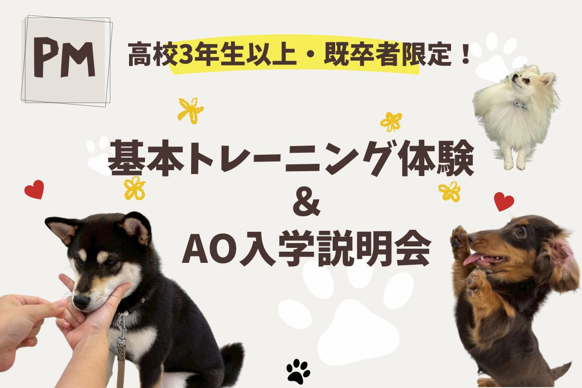 横浜動物専門学校
