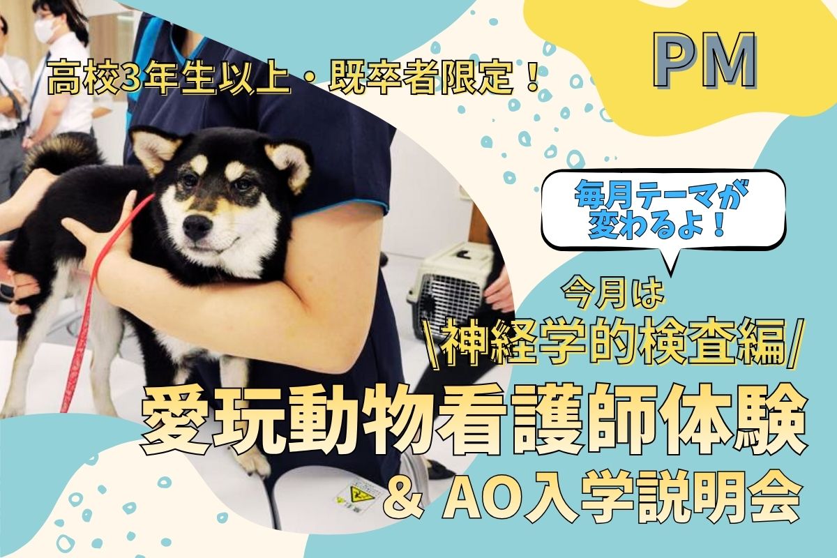 横浜動物専門学校