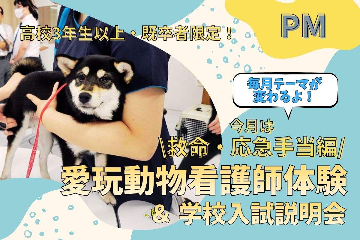 横浜動物専門学校