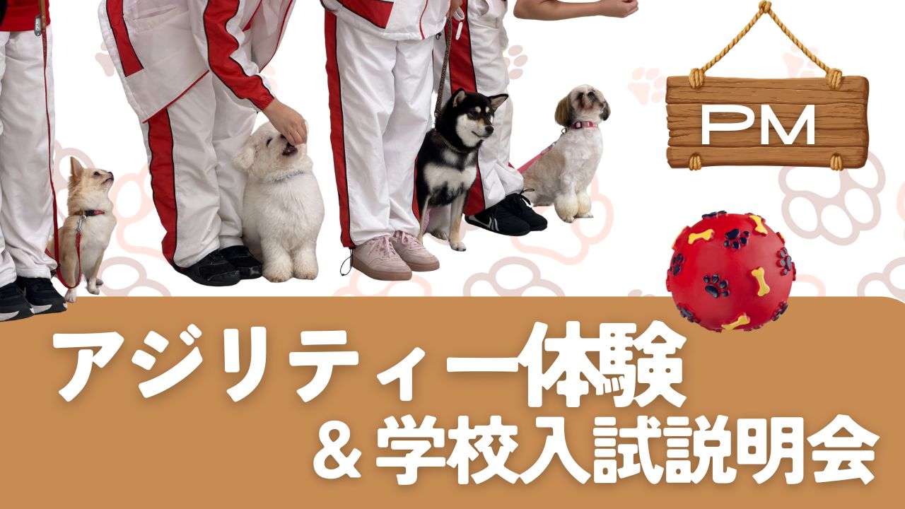 横浜動物専門学校