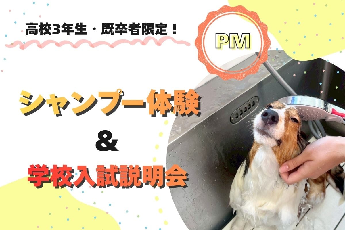 高校3年生・既卒者限定！シャンプー体験（午後）（6/21）／横浜動物専門学校
