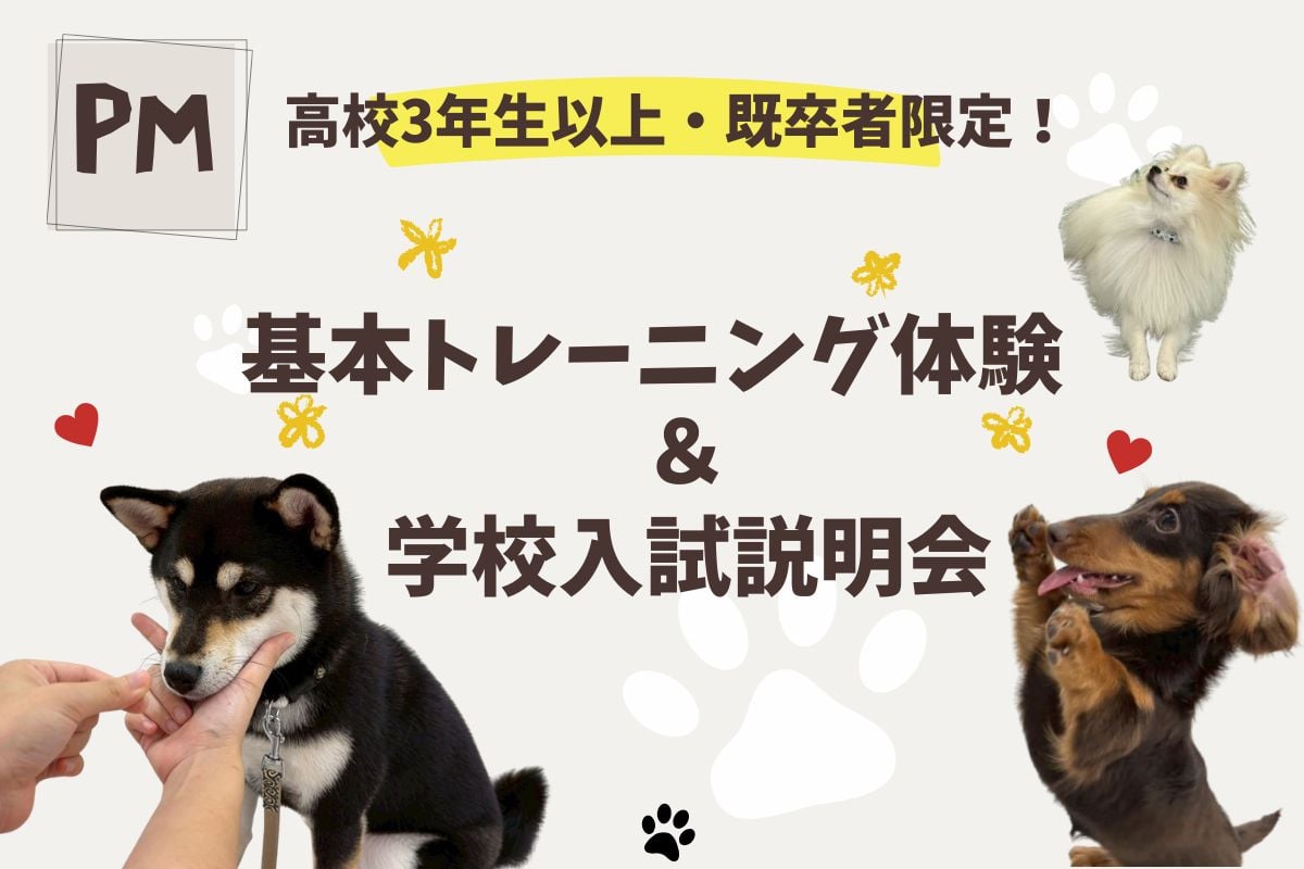 高校3年生・既卒者限定！基本トレーニング体験（午後）（6/28）／横浜動物専門学校