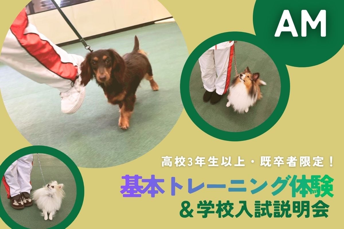 高校3年生・既卒者限定！基本トレーニング体験（午前）（6/28）／横浜動物専門学校
