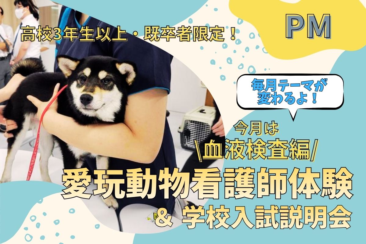 横浜動物専門学校