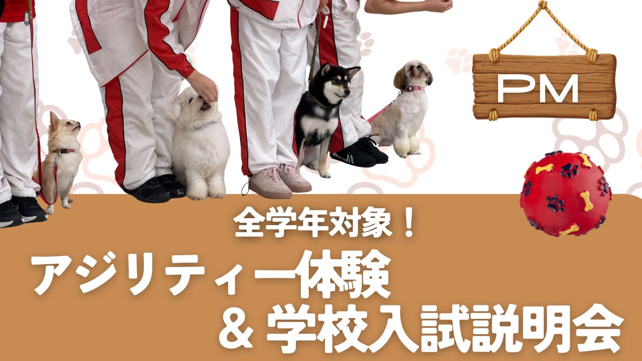 横浜動物専門学校