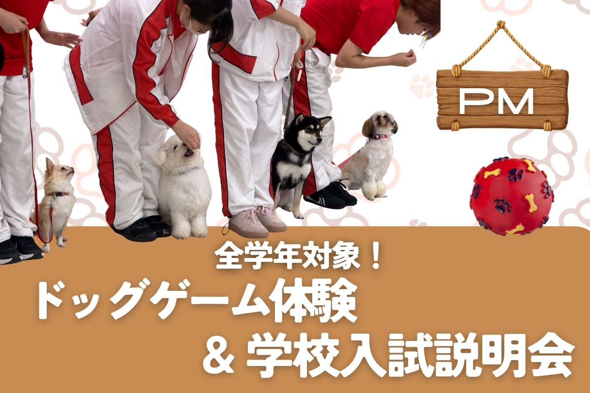 横浜動物専門学校