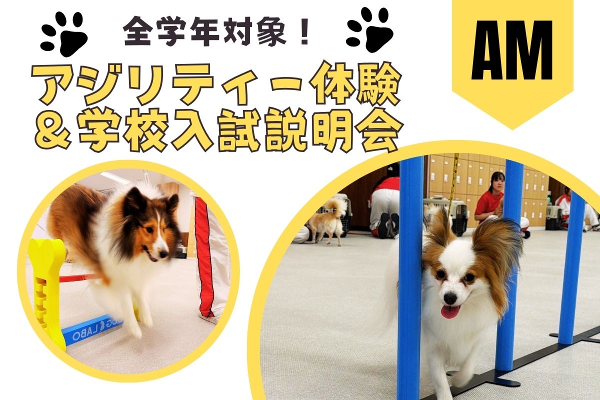 横浜動物専門学校