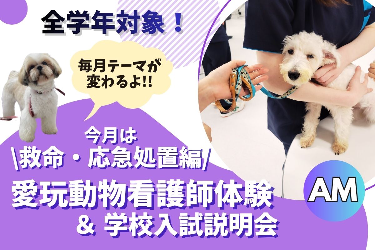 横浜動物専門学校
