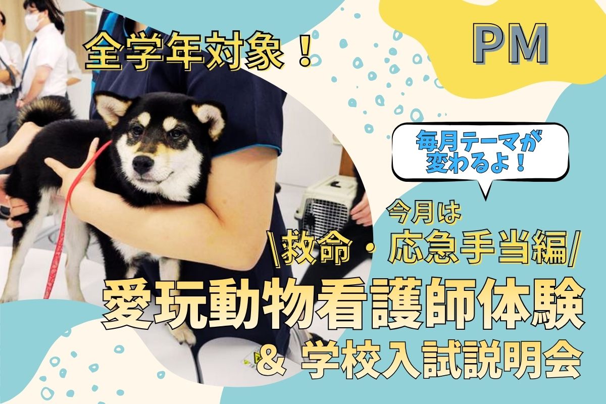 横浜動物専門学校