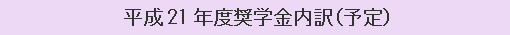平成21年度奨学金内訳（予定）