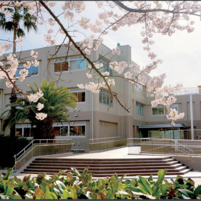 神戸大学 看護特集 Js日本の学校