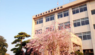 武豊高等学校