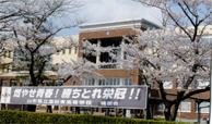 酒田東高等学校