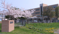 虻田高等学校