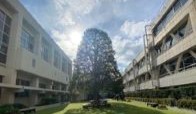 新渡戸文化小学校