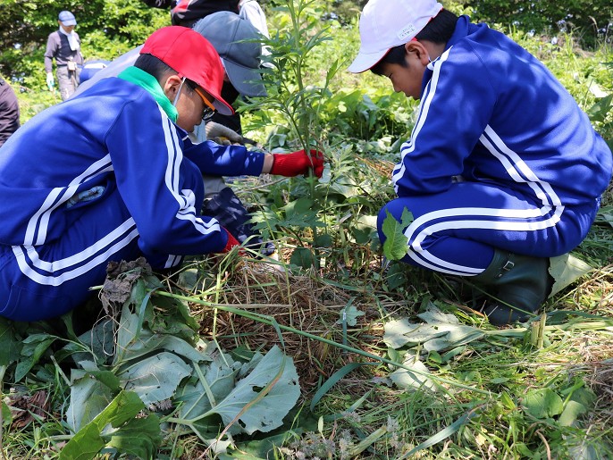 青森県　八戸市立種差小学校　３～６年生のみなさん3