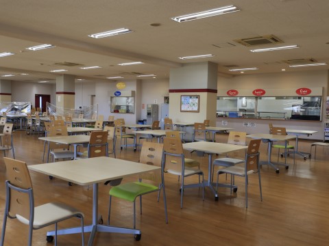 鎮西学院大学