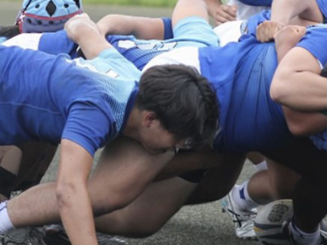 日本福祉大学の部活