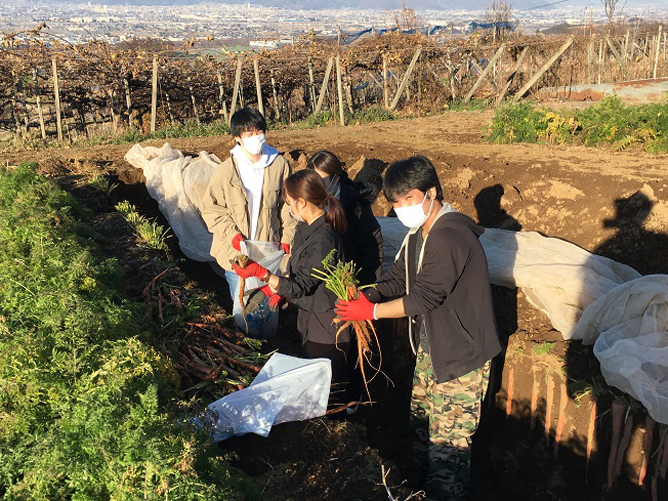 東京富士大学の部活