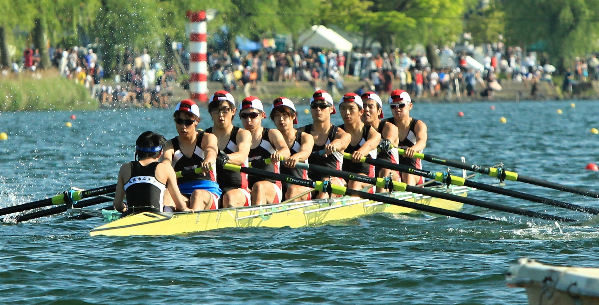 大阪市立大学のクラブ 部活情報 大学 短大情報はjs日本の学校