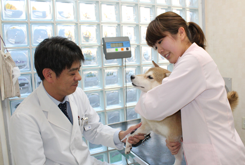 動物看護師のサブ画像１