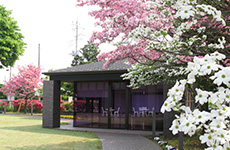 セミナーハウスは緑の芝生に囲まれたグレースホールの別館。授業やピアノレッスンに利用されています。