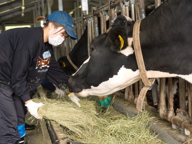 日本獣医生命科学大学のオープンキャンパス