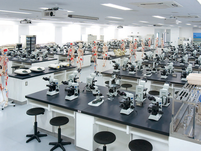 【実験室】生命医科学の最先端に迫る実験室です。