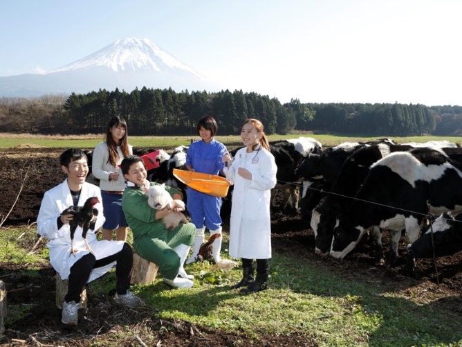 日本獣医生命科学大学のオープンキャンパス