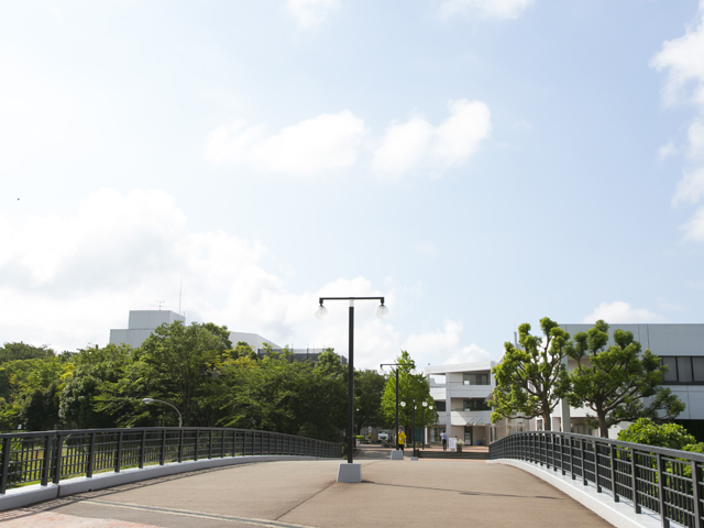 横浜キャンパス　遠望橋