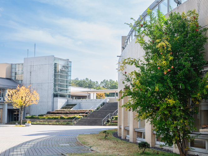 明治薬科大学