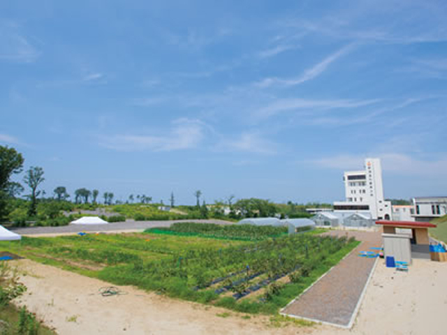 新潟食料農業大学