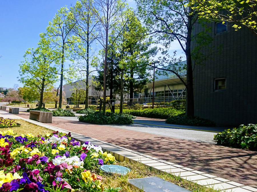 豊かな緑と四季の花々が彩るキャンパス