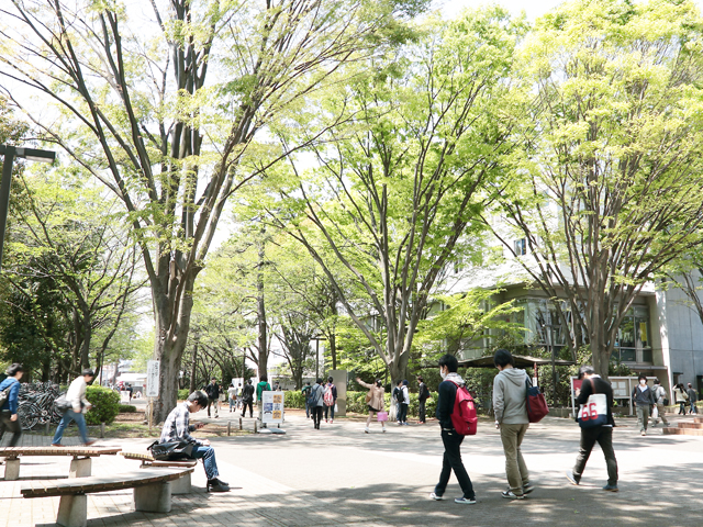 緑あふれるキャンパスは、国分寺駅から徒歩12分の好立地。