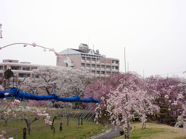 守山キャンパスは、名古屋市内で一番標高の高い山、東谷山のふもとに位置しています。