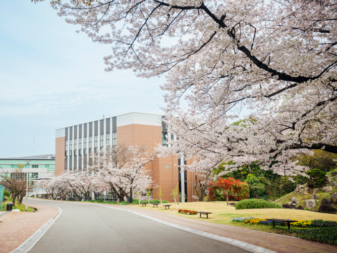 四天王寺大学短期大学部のcampusgallery