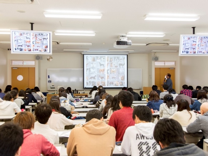 日本獣医生命科学大学のオープンキャンパス