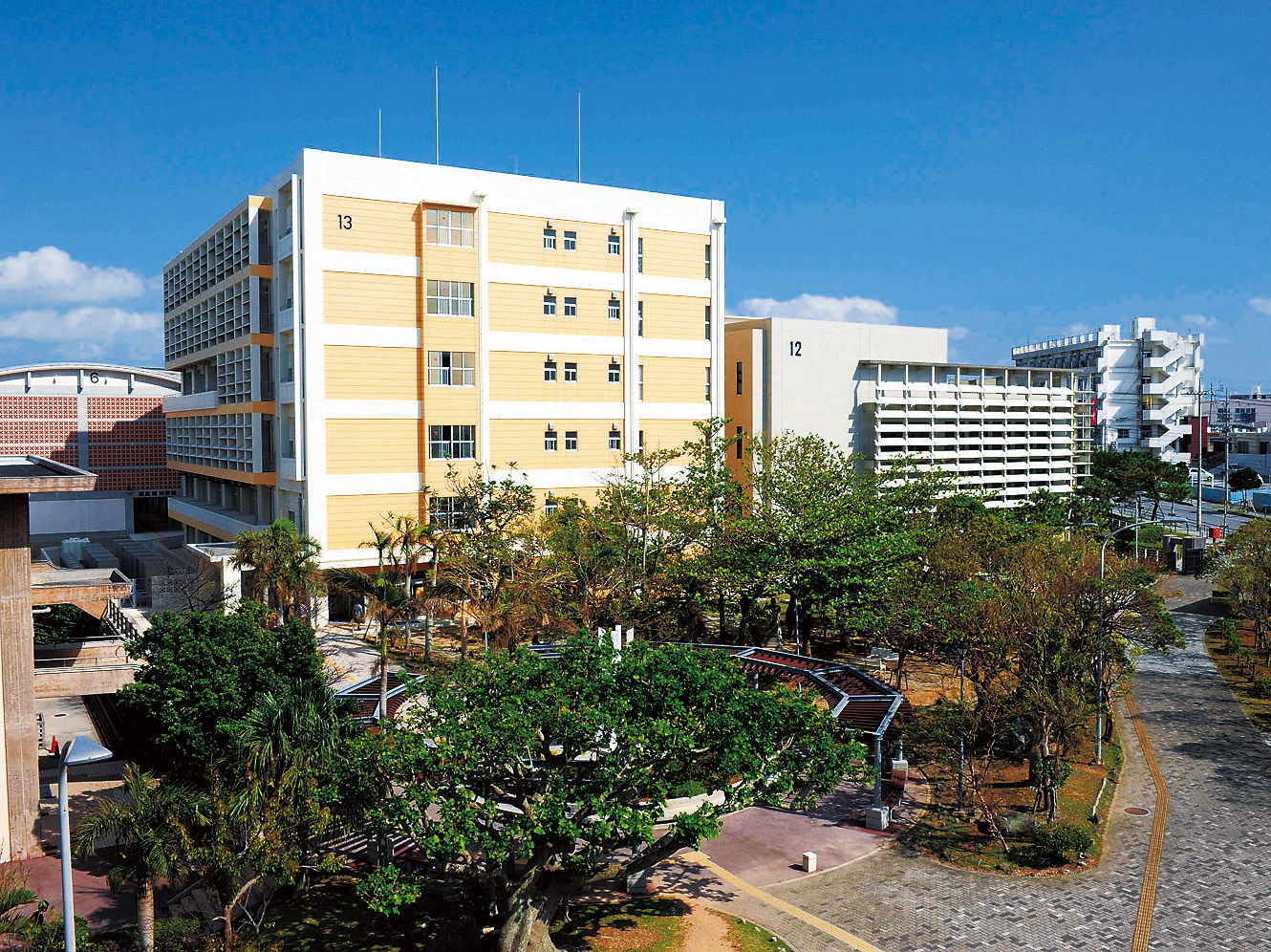 沖縄国際大学のcampusgallery
