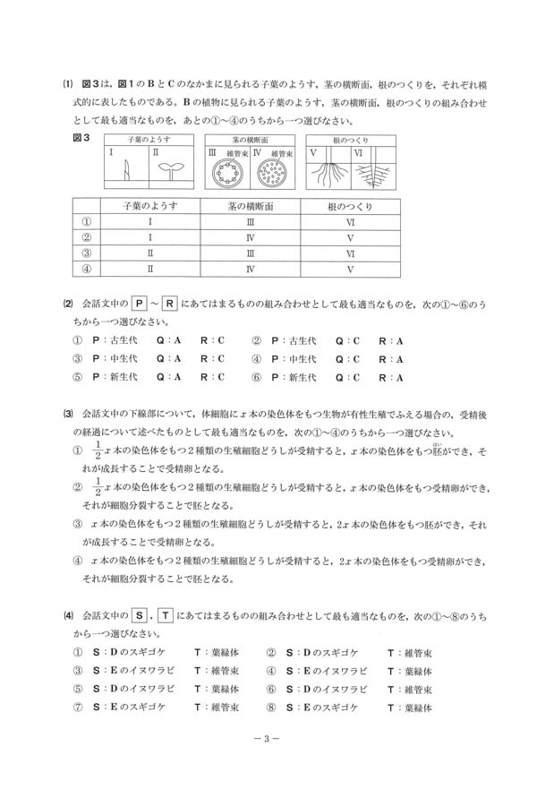 入試過去問（問題）（3ページ目）｜専修大学松戸高等学校の入試過去問