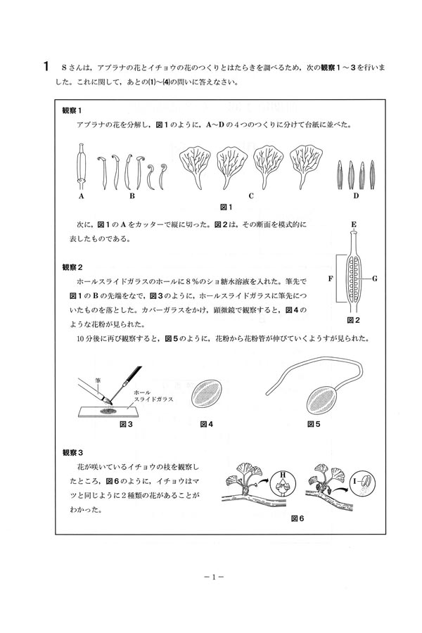 日本の学校 大学 短期大学 専門学校の進学情報なら日本の学校