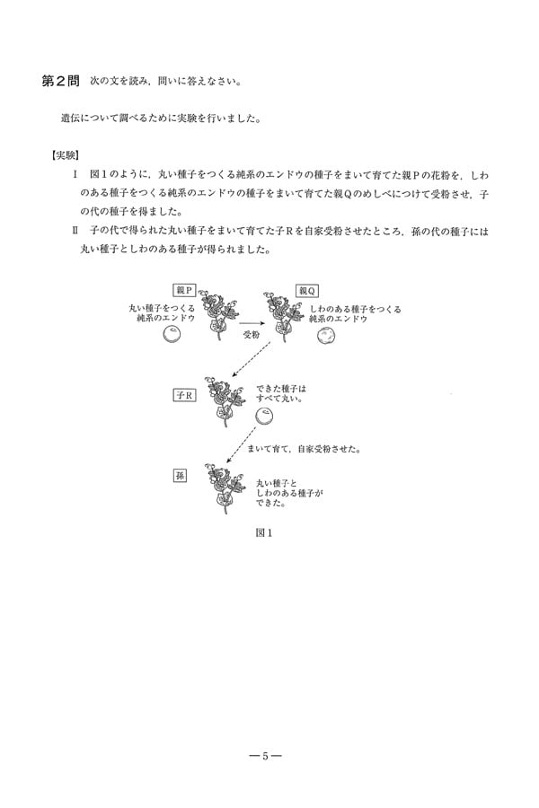 2025年度入試過去問題（理科 問題）（5ページ目）｜立命館守山高等学校