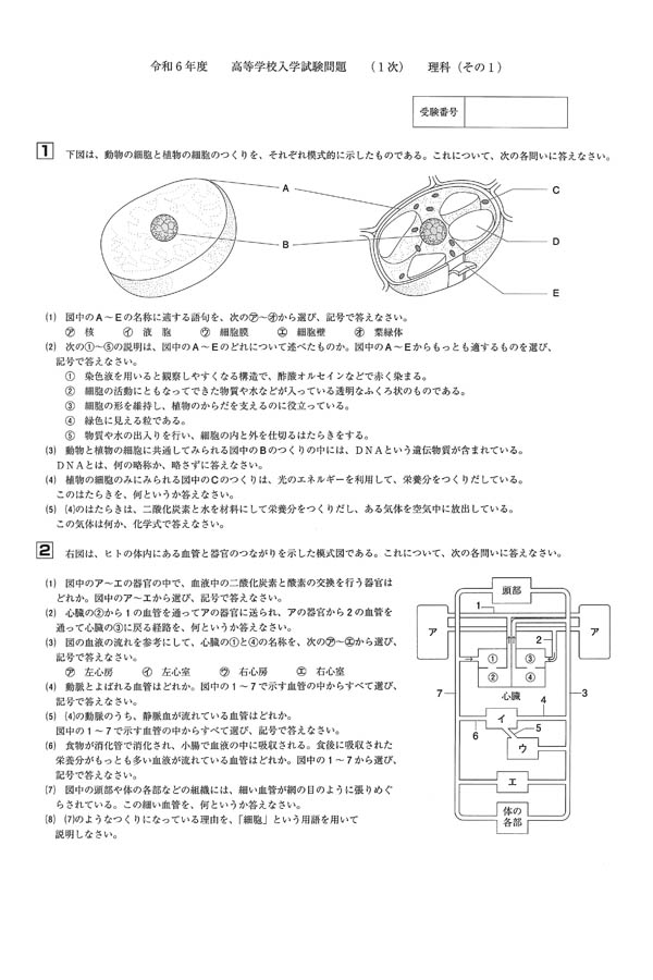 京華女子高等学校 27年度用―高校過去問シリーズ (7年間スーパー過去問T65) Amazon.co.jp: T5 開成高等学校 2023年度用 6年間スーパー過去問