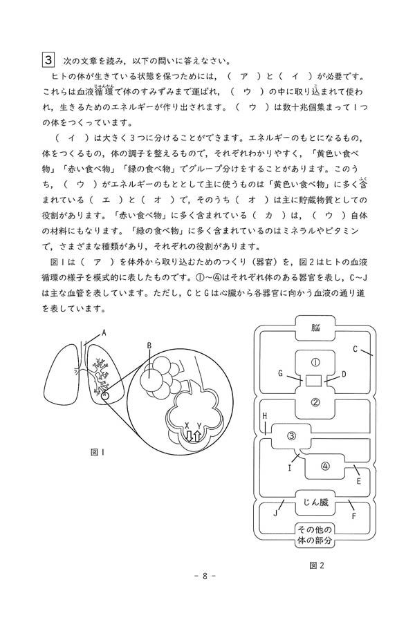 【超貴重】豊島岡女子学園中 過去問（第3回入試解答と解説付き） 豊島岡女子学園中学 過去問12年分(H23~30年度用)、おまけ
