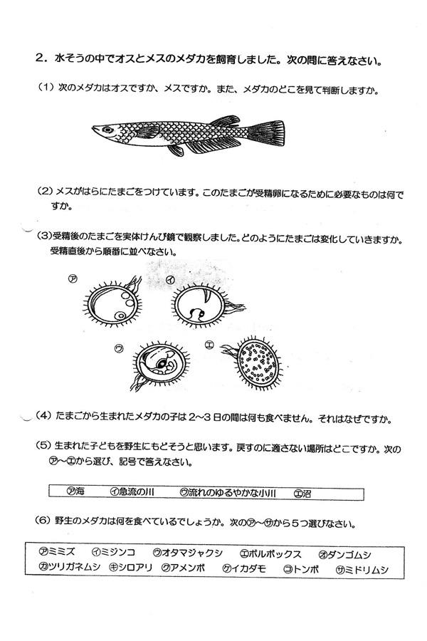 日本の学校 大学 短期大学 専門学校の進学情報なら日本の学校