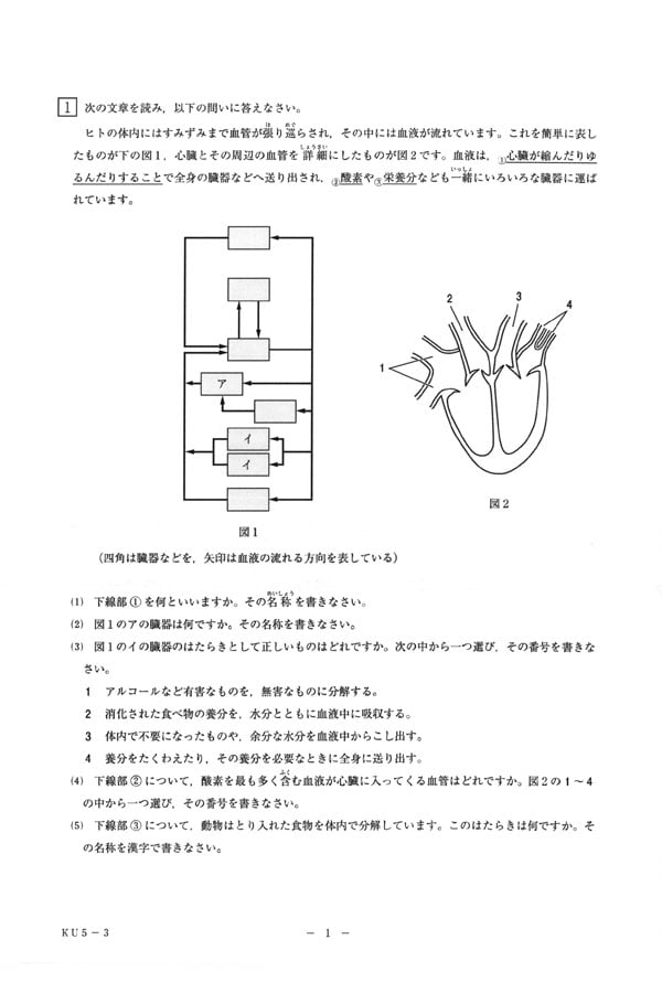 2025年度入試過去問題 第2回（理科 問題）（1ページ目）｜神奈川大学