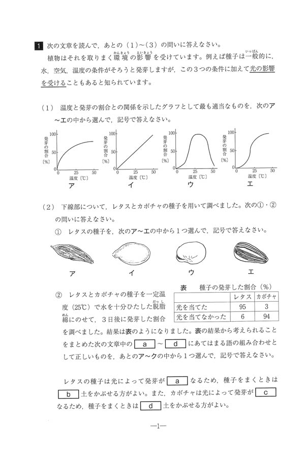 【最終出品】　　洛南高等学校附属小学校の過去問H28度受験版〜R6 最終出品】 洛南高等学校附属小学校の過去問H28度受験版〜R6