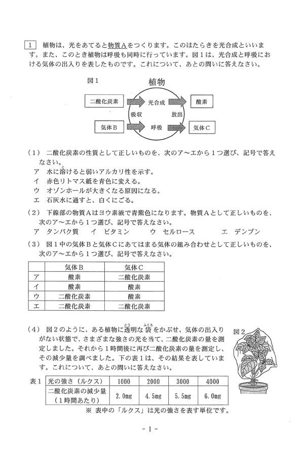 2024年度入試過去問題（理科 問題）（1ページ目）｜帝塚山学院