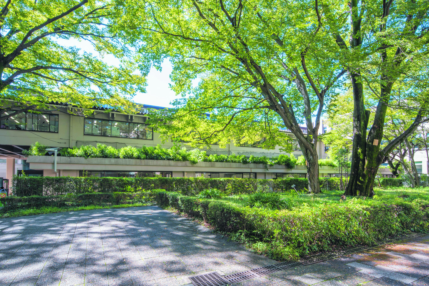 武蔵大学の図書館